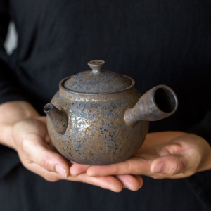 Rustic Iron Glazed Kyusu Tea Pot 320ml