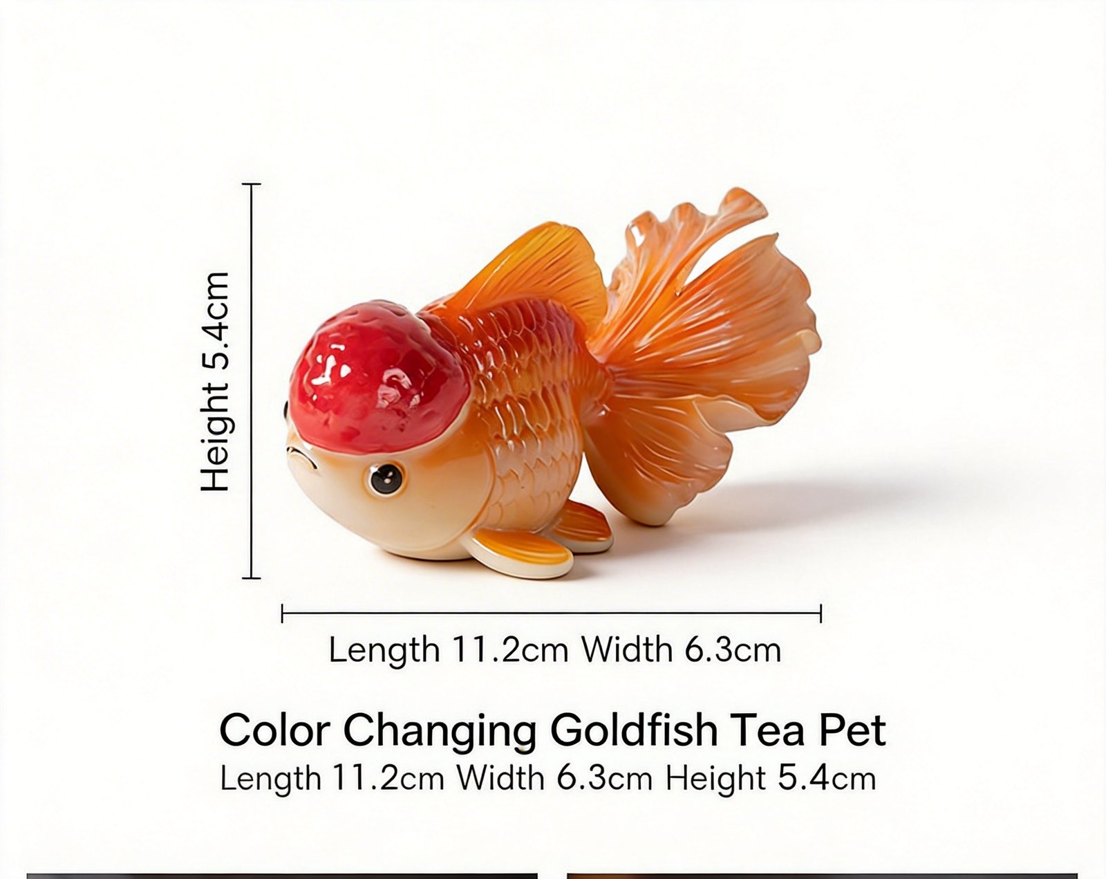 Style 1 color changing goldfish tea pet dimension chart on white background