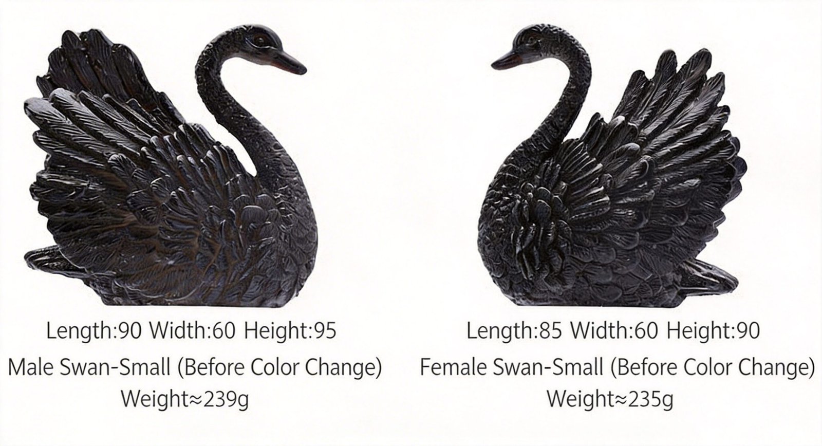 Swan tea pet size specifications, male and female set measurements