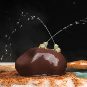 Interactive squirt frog tea pet spraying water when poured with tea