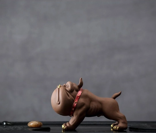 Close-up detail of standing French bulldog tea pet's gold teeth and red studded collar