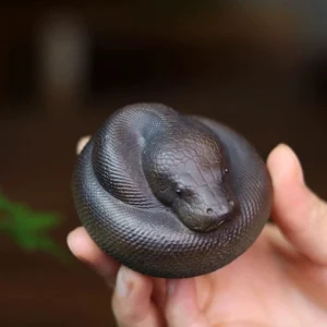handcrafted coiled snake yixing zisha tea pet angle view