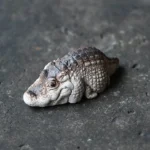 handcrafted ceramic crocodile tea pet full side view