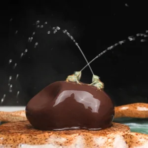 handmade squirt frog tea pet showing water spray function on tea table