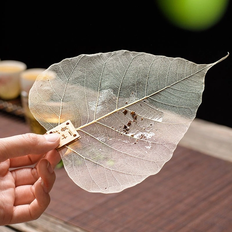natural bodhi leaf loose leaf tea strainer on teacup in use