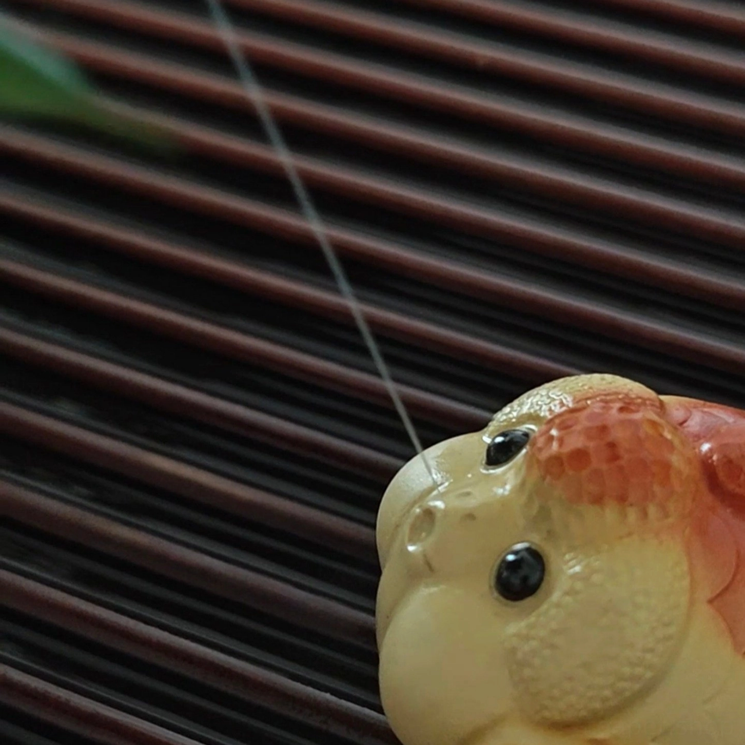 chubby cute lucky fish tea pet side view showing gradient orange yellow color