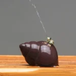 Water spraying frog on snail shell ceramic tea pet spraying water on tea tray