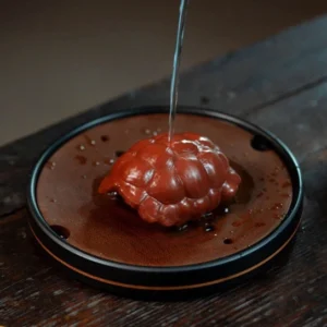 Handcrafted Yixing purple clay turtle shell tea pet with lotus base on wooden tea table